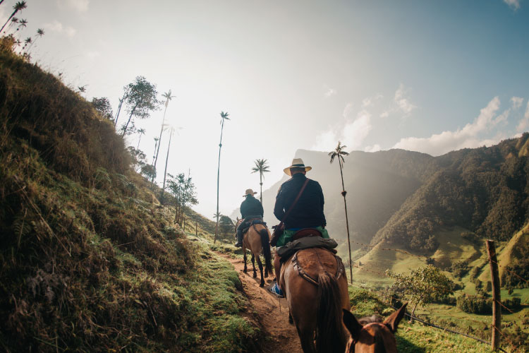 Cocora Valley Colombia