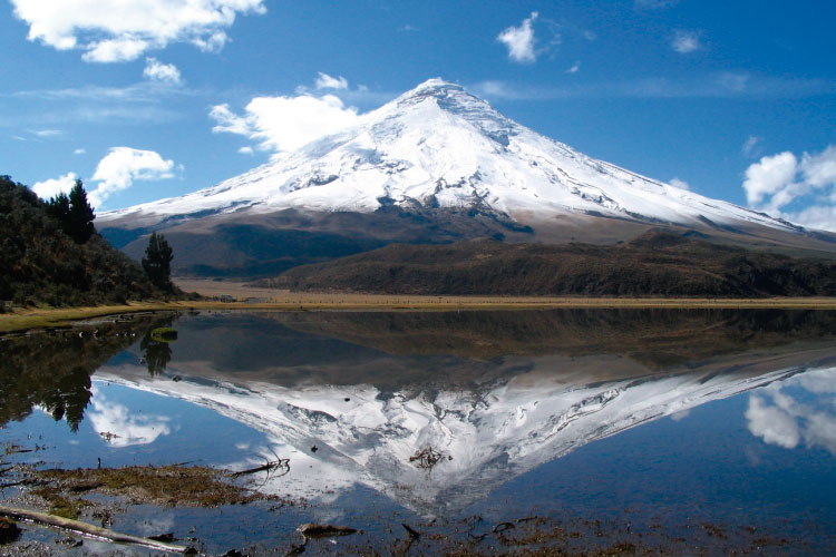 Cotopaxi National park Ecuador