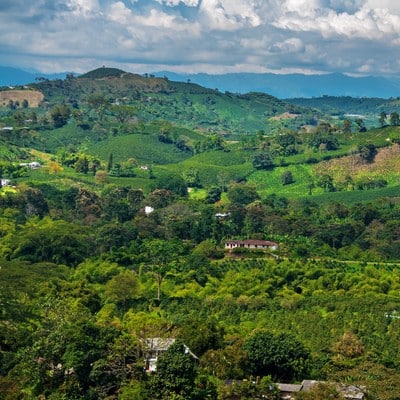 armenia colombia