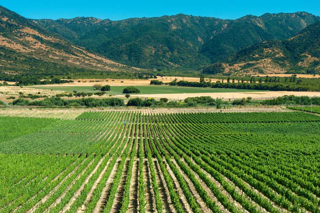 colchagua valley