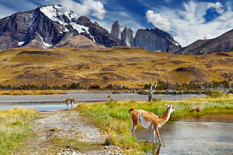 Torres del paine Chile