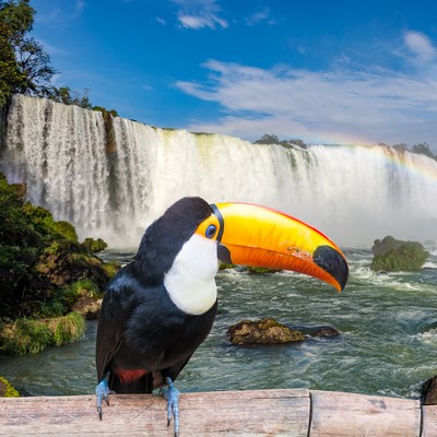 iguazu Argentina