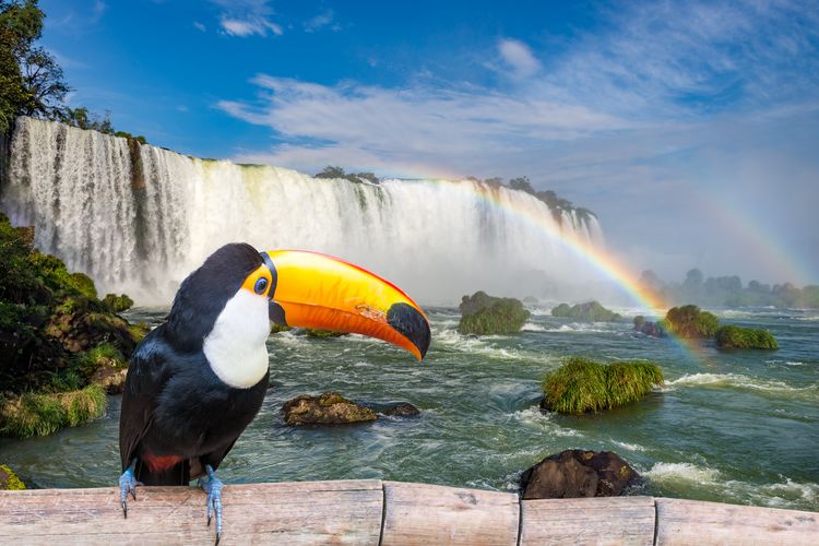 Iguazu Argentina