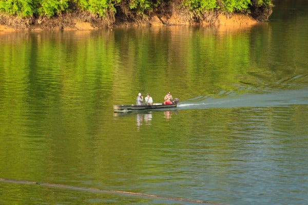 la vieja river