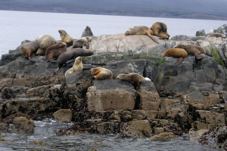 Tierra del fuego