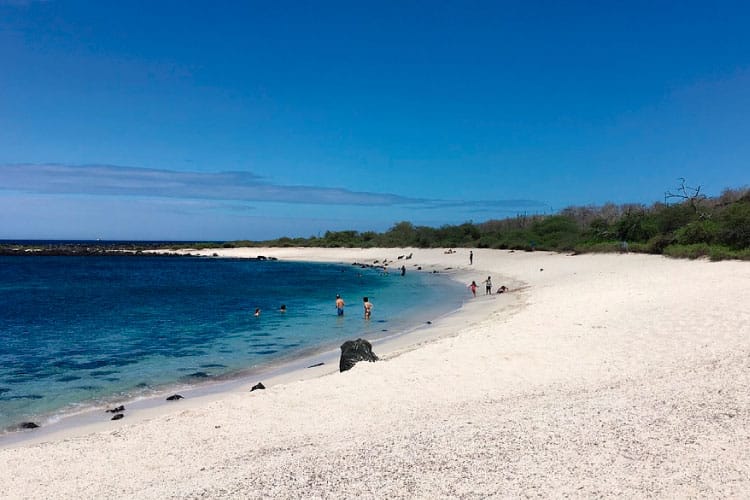 Galapagos Island Ecuador