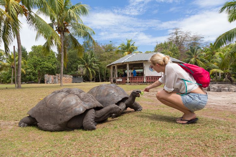 Galapagos Ecuador Travel