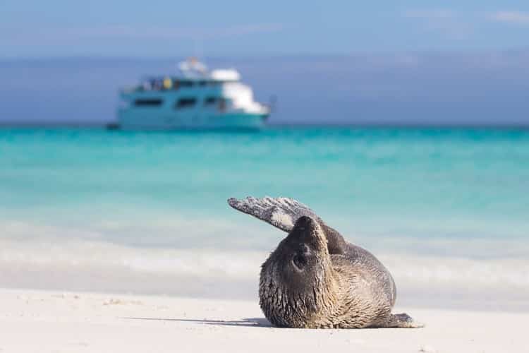 Galapagos Ecuador Travel