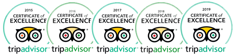 TripAdvisor 