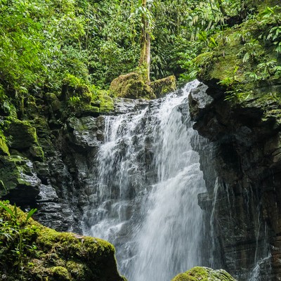 Napo Ecuador Travel