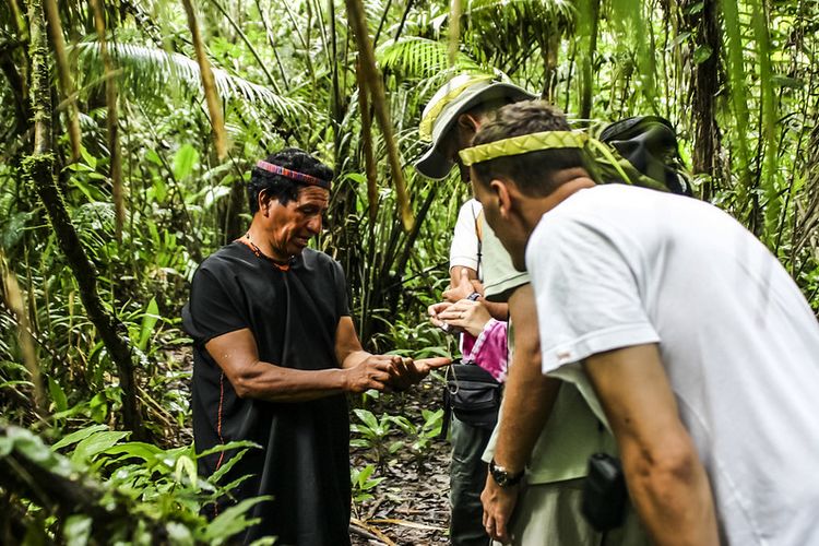 Napo Ecuador Travel