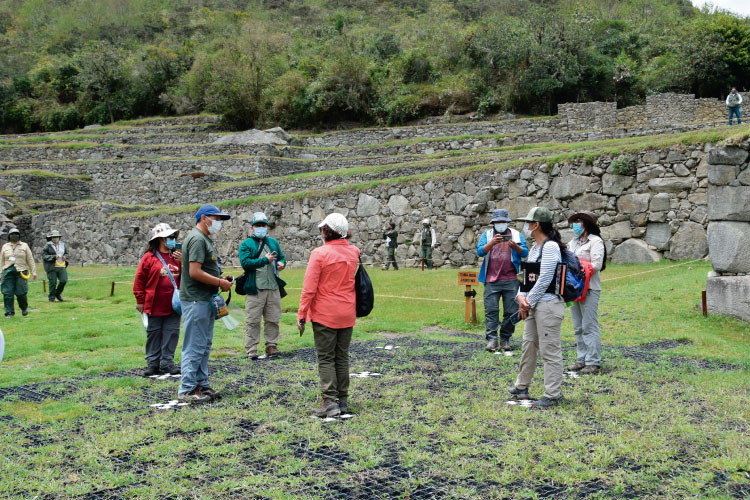 Machu Picchu