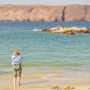 peru destinations paracas