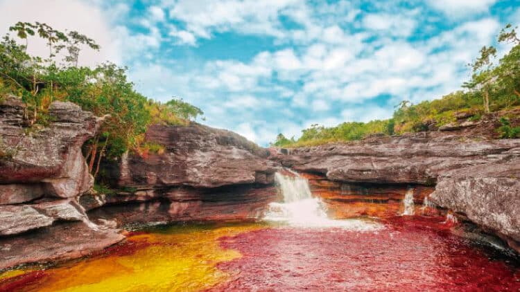 Why Journey to the “Liquid Rainbow” River in Colombia?