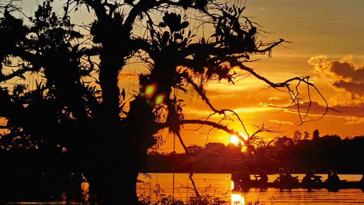 6 Most Exciting South American Cities in the Amazon Rainforest