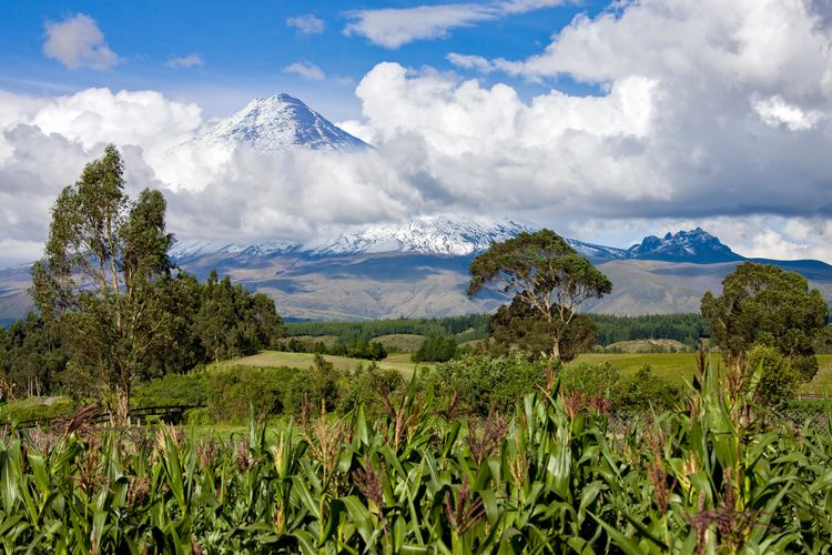 Avenue volcanoes Ecuador