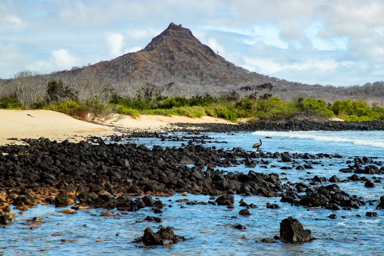 Santa Cruz Galapagos