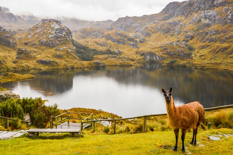 Cajas National park Ecuador