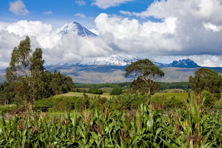 Cotopaxi national park