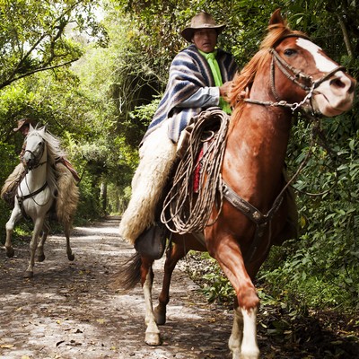 hacienda Zuleta Ecuador