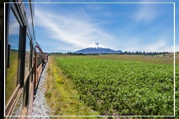 Journey past Ecuador Galapagos