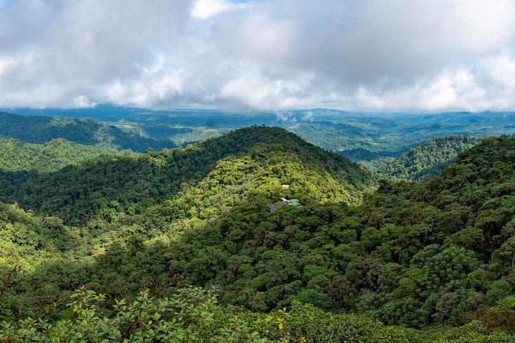 Mashpi Ecuador Travel