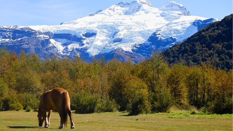 pampas Argentinas