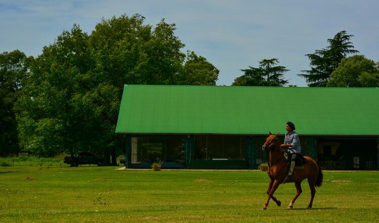 What to know about The Pampas of Argentina