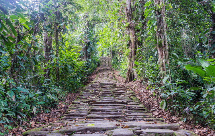 Lost city Colombia