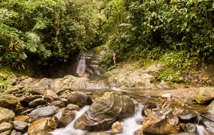 colombia trek